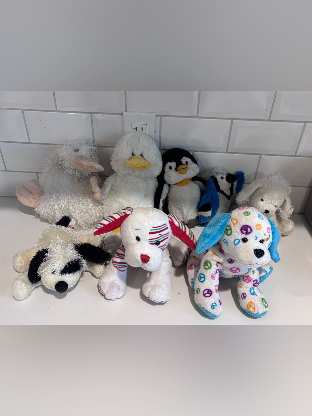 Webkinz lot , no codes includes 8